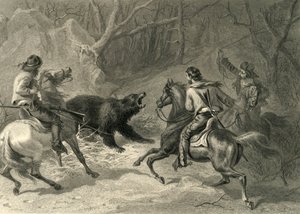 Native Californians Lassoing a Bear, 1874.