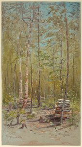 Koivut tekijältä Francis Hopkinson Smith