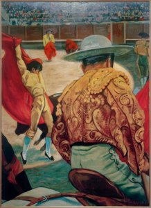 Matador in der Arena