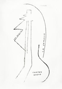 Poemes et Dessins de la Fille nee sans Mere, nro 23, julkaisija Imprimeries Reunies, Lausanne. tekijältä Francis Picabia