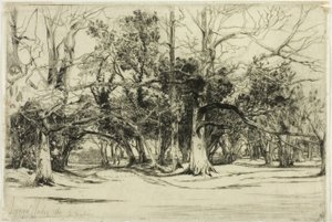 Sivutie Tipperaryssa tekijältä Francis Seymour Haden