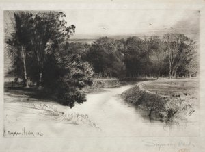 Auringonlasku Irlannissa tekijältä Francis Seymour Haden