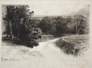 Auringonlasku Irlannissa, 1863. tekijältä Francis Seymour Haden