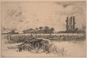 Water Meadow (etsaus ja kuivakärki) tekijältä Francis Seymour Haden