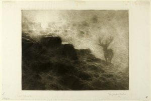 Varhainen herääjä tekijältä Francis Seymour Haden