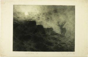 Varhainen herääjä tekijältä Francis Seymour Haden