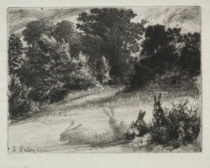 Kampapohja tekijältä Francis Seymour Haden