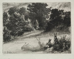 Kampapohja. tekijältä Francis Seymour Haden