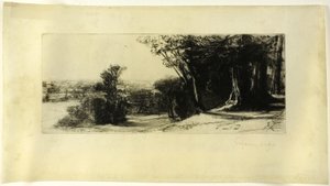 Early Morning, Richmond Park tekijältä Francis Seymour Haden