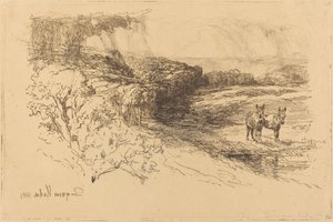 Encombe Woods (nro 1) tekijältä Francis Seymour Haden