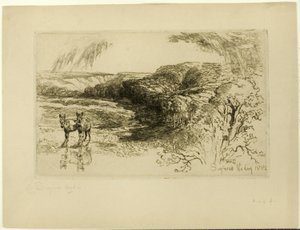 Encombe Woods, nro II tekijältä Francis Seymour Haden