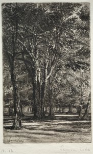 Kensington Gardens (suuri lautanen) tekijältä Francis Seymour Haden