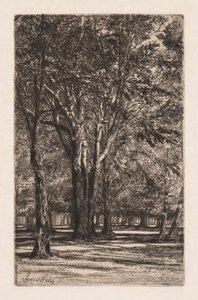 Kensington Gardens, nro 2 (The Larger Plate) tekijältä Francis Seymour Haden