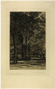 Kensington Gardens, nro II (iso levy) tekijältä Francis Seymour Haden