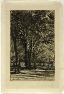Kensington Gardens, nro II (iso levy) tekijältä Francis Seymour Haden