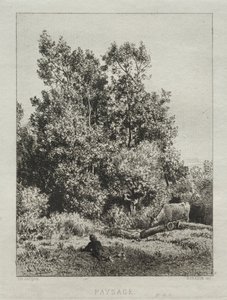 Maisema tekijältä Francis Seymour Haden