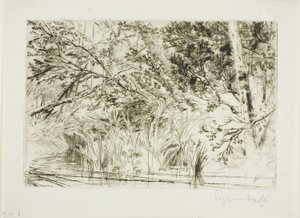 Puron suu, nro II tekijältä Francis Seymour Haden