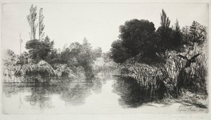 Shere Mill Pond, nro 11 (suuri lautanen) tekijältä Francis Seymour Haden