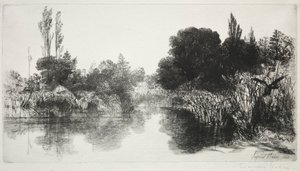 Shere Mill Pond, nro 11 The Large Plate, 1860 ja myöhemmin. tekijältä Francis Seymour Haden