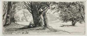 Holly Field. tekijältä Francis Seymour Haden