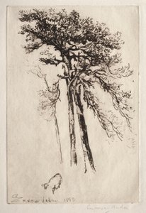 Uusin puu tekijältä Francis Seymour Haden