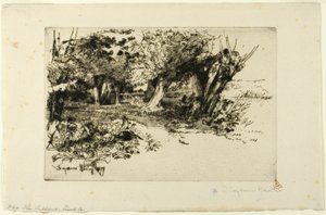 Willows tekijältä Francis Seymour Haden