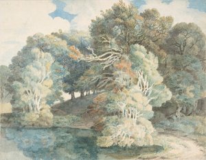 Puut järven rannalla, Peamore Park, lähellä Exeteria, Devonissa, 1790-1810. tekijältä Francis Towne