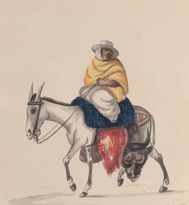 Teurastaja ratsastaa aasilla, ryhmästä piirustuksia, jotka kuvaavat perulaista pukua, n. 1848.