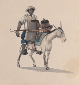 Aasilla ratsastava vesikuljettaja, piirustusryhmästä, joka kuvaa perulaista asua, noin 1848.