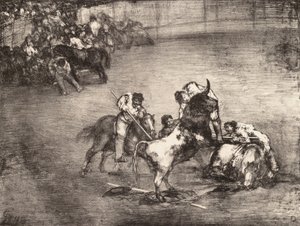Härän pyytama picador, "Bulls of Bordeaux