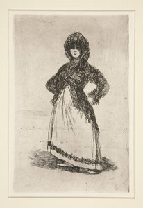 Maja [vaalealla taustalla] tekijältä Francisco de Goya