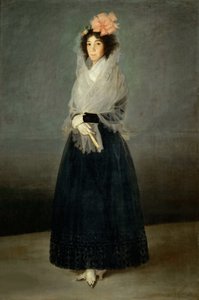 Portrait of the Countess del Carpi, Marquesa de la Solana 1757-1795, ca 1794. tekijältä Francisco Goya de