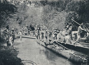 Ro de Ston tutkiminen. Anastacio, 1895