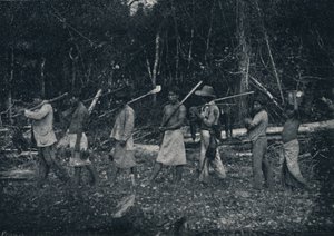 Guarany-intiaanit, palaavat Caþadalta, 1895