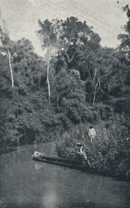 S. Anastacio River, 1895