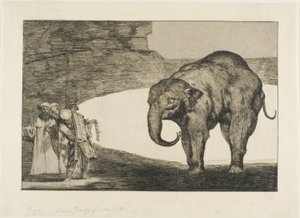 Animal Folly, levyltä Disparates tekijältä Francisco Jose de Goya y Lucientes