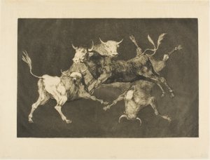 Fool’s Folly, Disparatesista tekijältä Francisco Jose de Goya y Lucientes