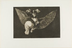 Luovu ystävästä, joka peittää sinut siivillään ja puree sinua nokallaan, levy viisi Los Proverbiosista tekijältä Francisco Jose de Goya y Lucientes