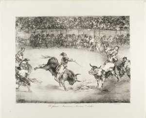 Kuuluisa amerikkalainen, Mariano Ceballos, The Bulls of Bordeaux