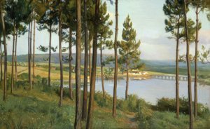 Ria del Burgo-öljy / kangas