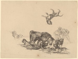 Koirien hyökkäämä härkä tekijältä Francisco de Goya