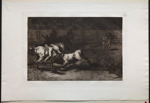 Härkätaistelut: Mariano Ceballos, Alias the Indian, Kills the Bull from his Horse, 1876. tekijältä Francisco de Goya
