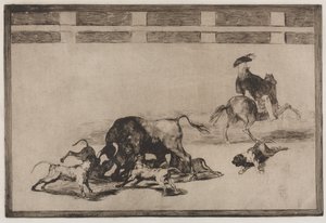 Härkätaistelut: He löysivät koiria härässä tekijältä Francisco de Goya