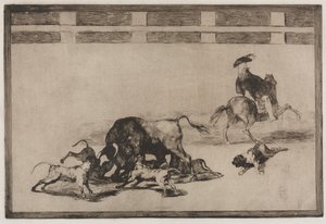 Härkätaistelut: He löysivät koirat härällä, 1876. tekijältä Francisco de Goya