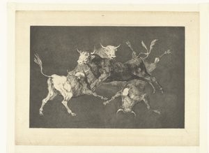 Dwaasheid van de kleine stieren Disparate de tontos Los Disparates (De dwaasheden) (series title) Los Proverbios (De spreekwoorden) (series title) tekijältä Francisco de Goya