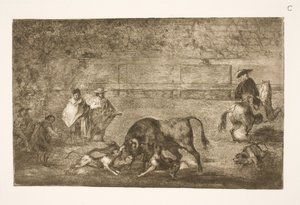 Els gossos estan polits fins al final del toro tekijältä Francisco de Goya