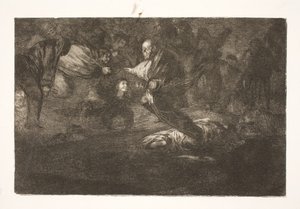 Nostre Senyor els crea i acaben en bella unió / Els ocells de la mateixa ploma volen en ramat finlandès tekijältä Francisco de Goya