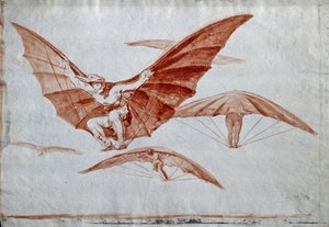 Lentotapoja, 1816 tekijältä Francisco de Goya