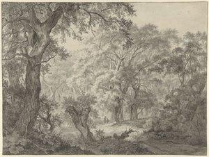 metsäinen maisema