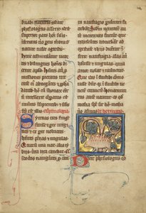 Siili bestiaarista Ms Ludwig XV 4, fol. 82, n. 1280-1300 (tempera, kynä ja muste, lehtikulta ja maali pergamentille) tekijältä Franco Flemish School